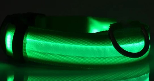 Glowing Nylon Pet Safety Set
