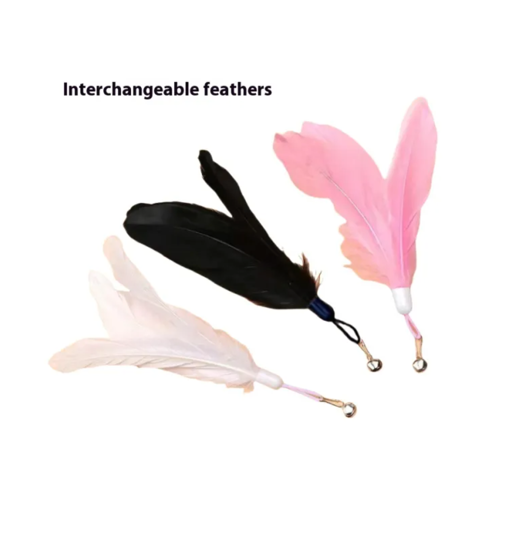 Bell & Feather Suction Cat Toy
