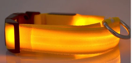 Glowing Nylon Pet Safety Set