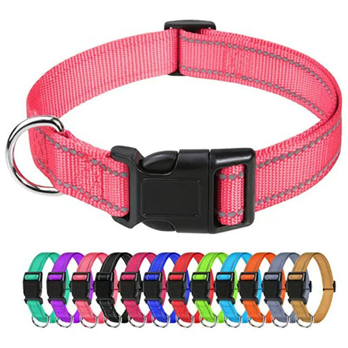 All-Size Outdoor Dog Collars