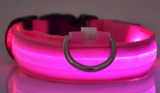 Glowing Nylon Pet Safety Set
