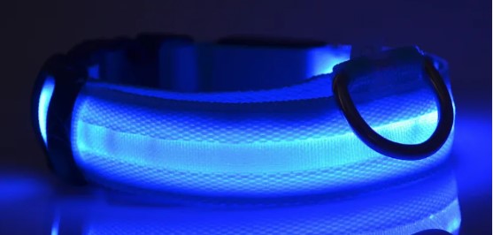 Glowing Nylon Pet Safety Set