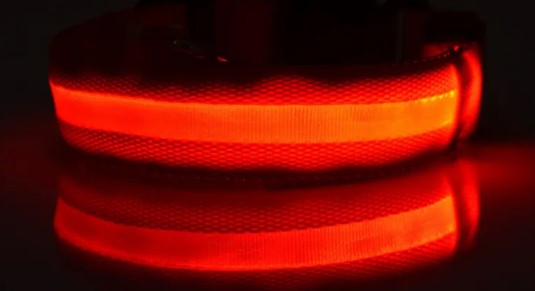 Glowing Nylon Pet Safety Set